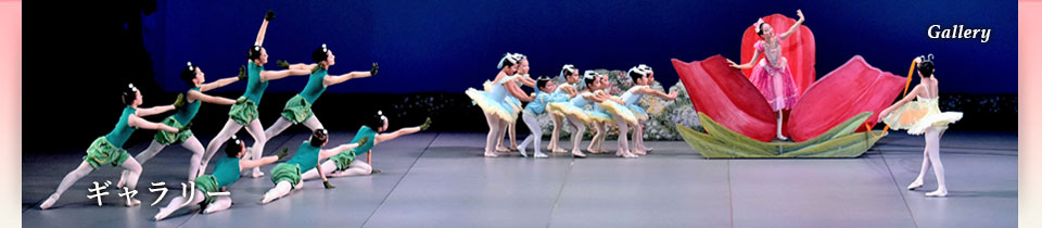 フォトギャラリー
