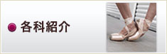 各科紹介
